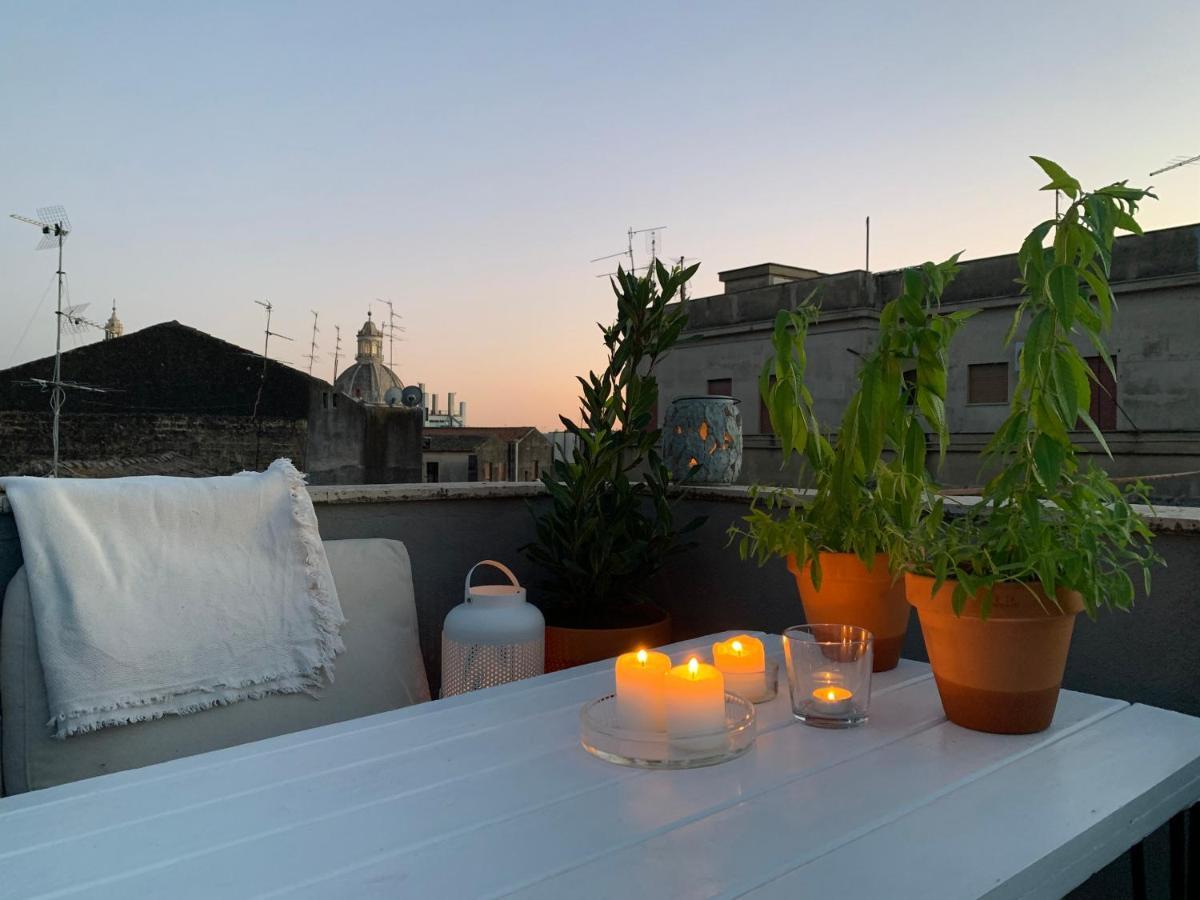 Homestay Rooftop 卡塔尼亚 外观 照片