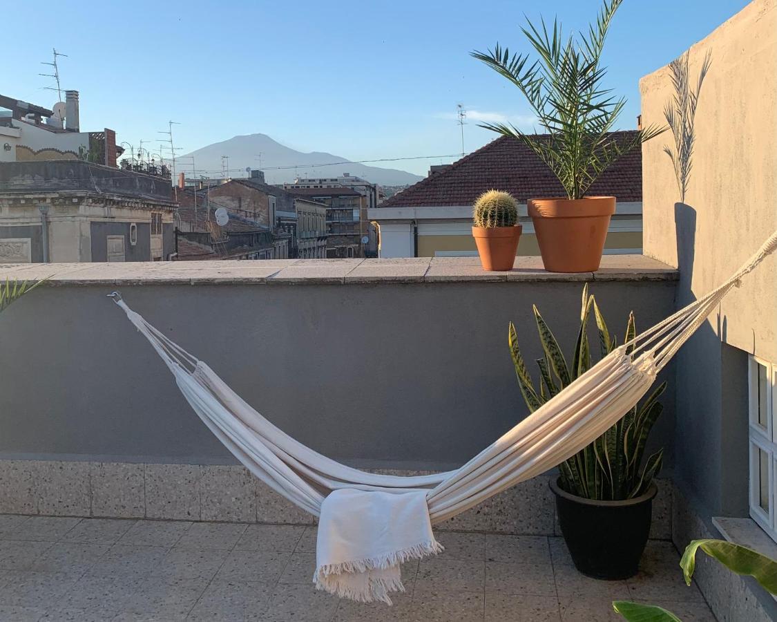 Homestay Rooftop 卡塔尼亚 外观 照片